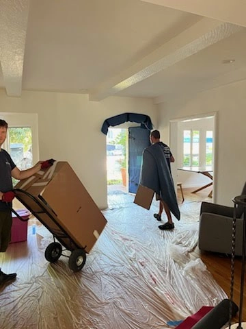 Protection of properties